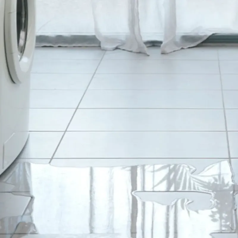 Appliance Leak Cleanup in Teton County, ID