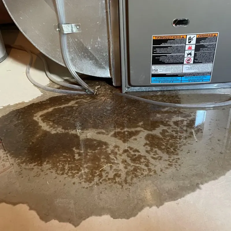Pipe Burst and Leak Restoration in Teton County, ID